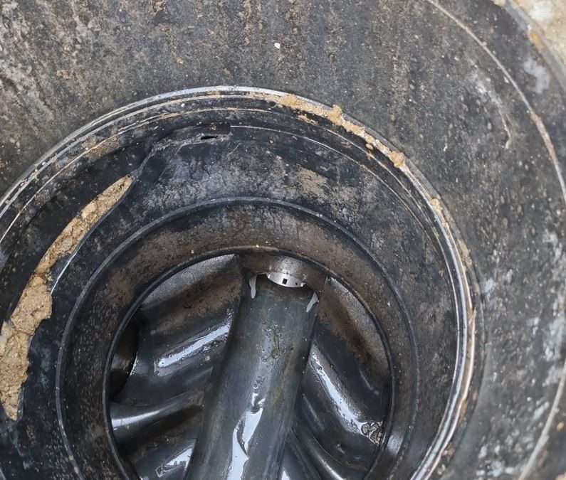 Stop Rats at the Source – Get a Rat Flap for drains Installed Today!